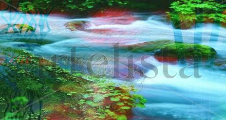 Naturaleza viva 2