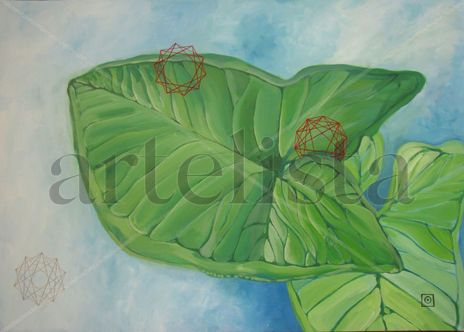Planta geométrica 7