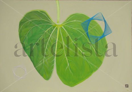 Planta geométrica 6