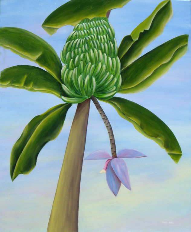 Platanos
