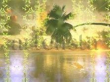 En Paraiso1
