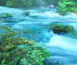 Naturaleza 4