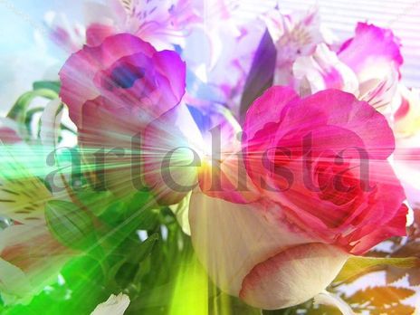 Rosas resplandecientes