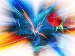 Rosas 3