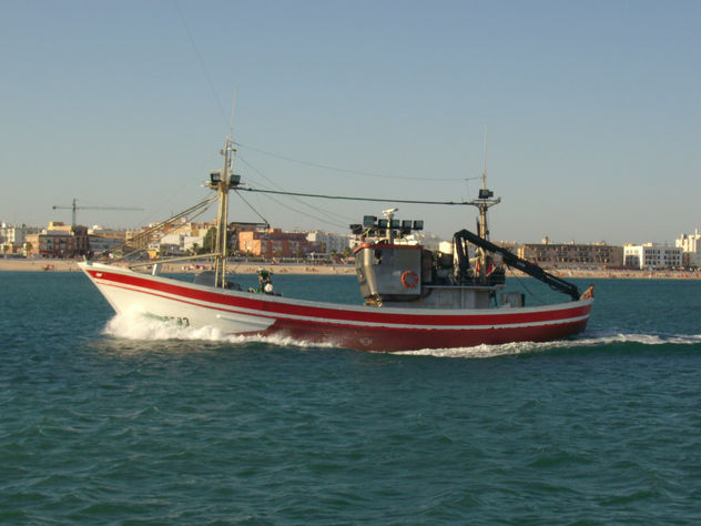 moby dick