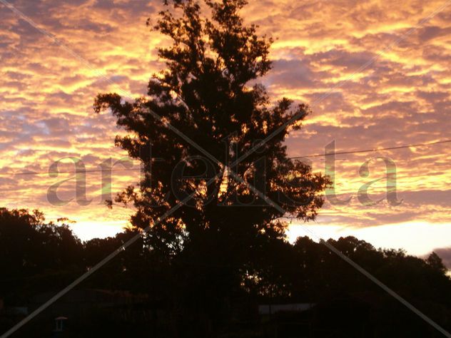 atardecer 4.