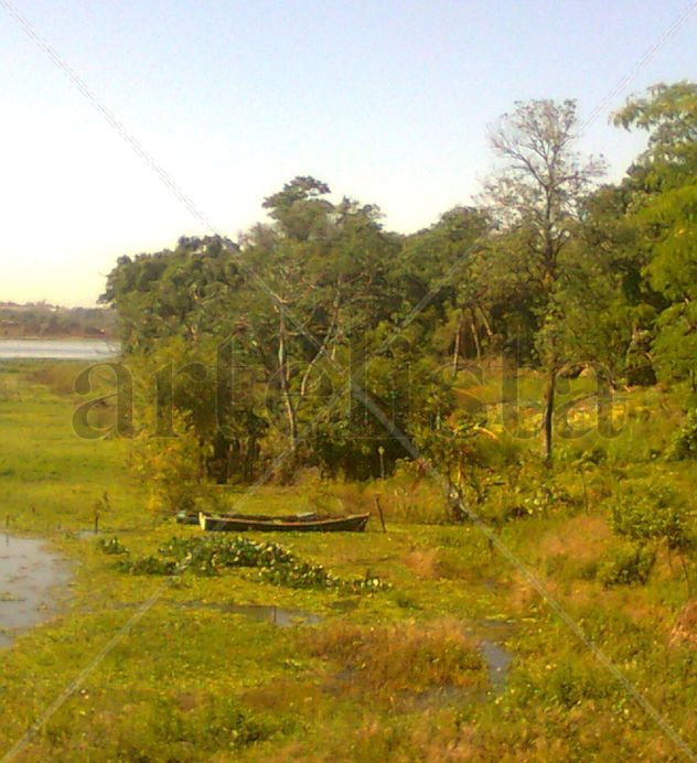 canoa,camalotes