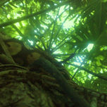 "Verdes" thumbnail 2