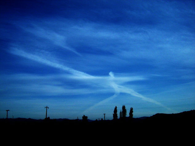 Danzando en el cielo Naturaleza Color (Digital)