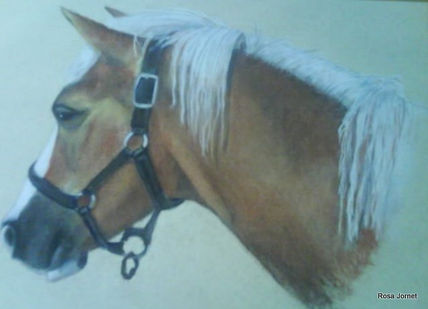 Cabeza de caballo
