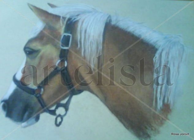 Cabeza de caballo Pastel Papel Animales