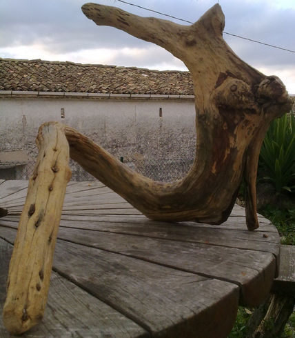 Dramatic ancestor...