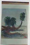 Palmera de siete cabezas