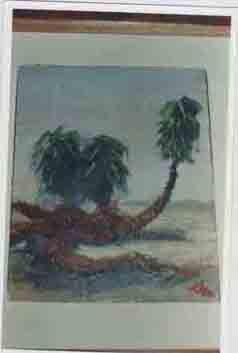 Palmera de siete...