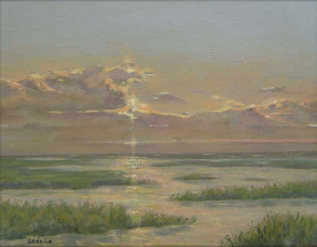 Las marismas de Doñana al atardecer I