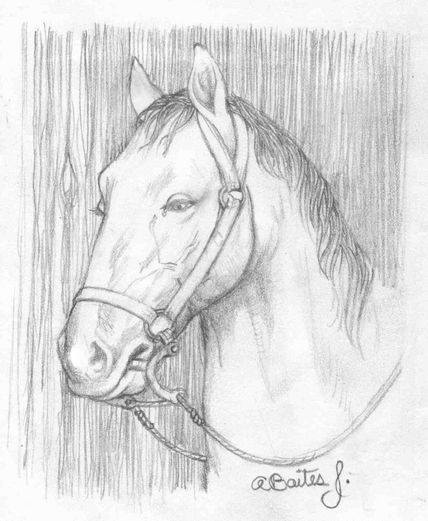 Caballo