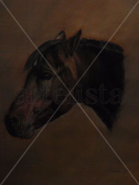 Mi caballo viejo