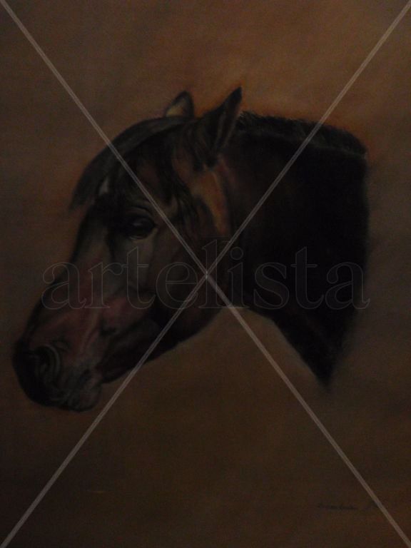 Mi caballo viejo