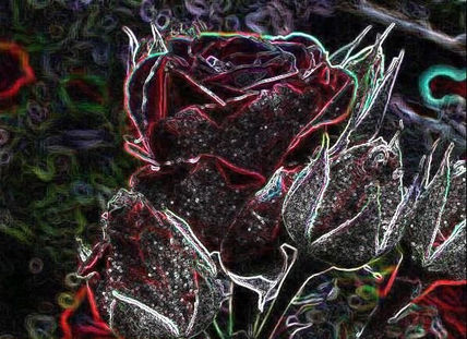 La rosa