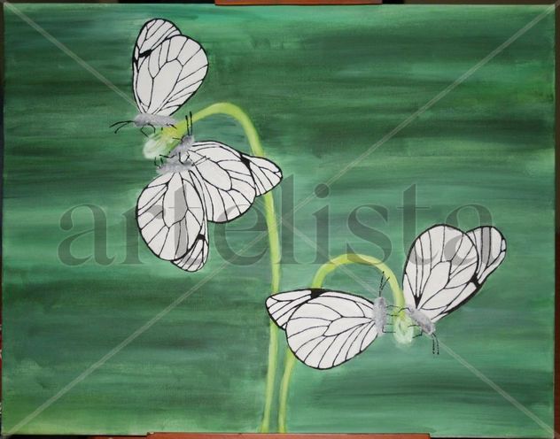 ¿Flores o Mariposas?