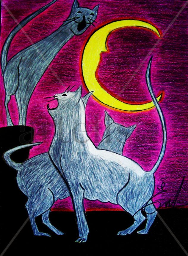 De noche todos los gatos son pardos.