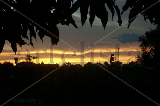 atardece 6.
