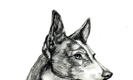 Mis Dibujos