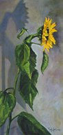 BODEGÓN_GIRASOL Oil Canvas Landscaping