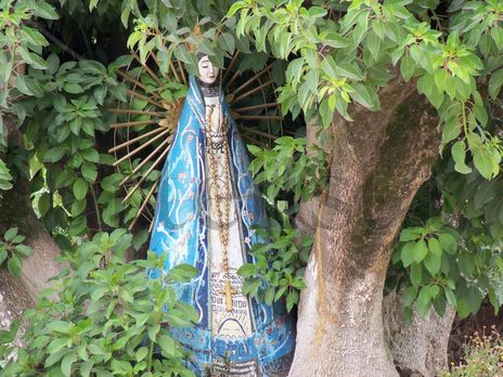 Imagen de una virgen