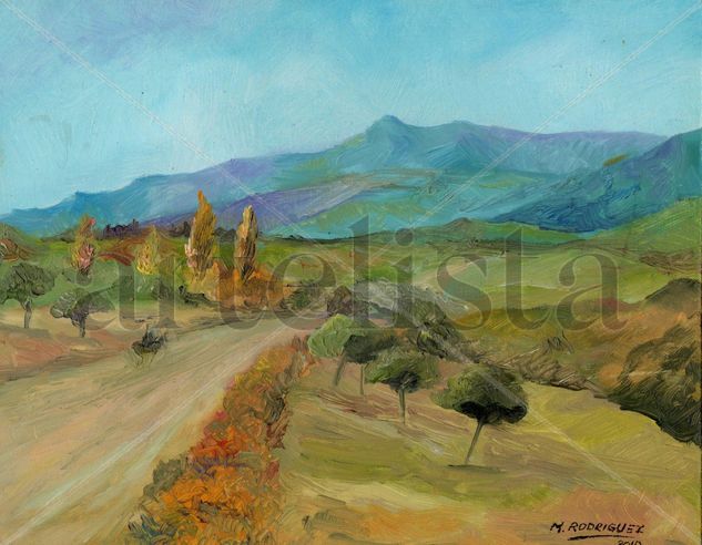 Camino puntano Acrylic Panel Landscaping