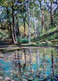 Reflets sur le lac à l'ombre des arbres