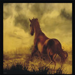 CABALLOS thumbnail 1