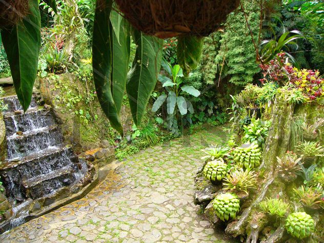 Naturaleza viva