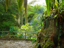 Naturaleza viva 3