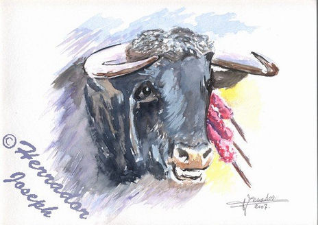 " Toro "