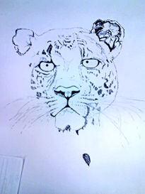 Leopardo/