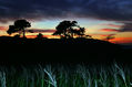 atardecer