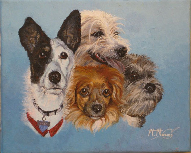 Mis Mascotas Oil Canvas Animals