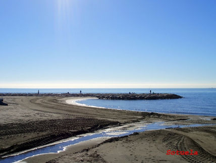 El Palo en Enero