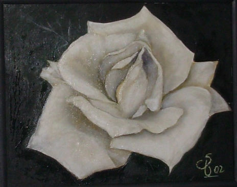 Rosa
