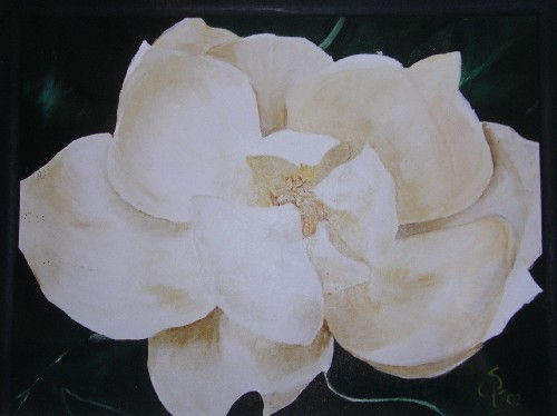 Magnolia Oil Canvas Floral Painting