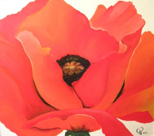 Amapola roja Oil Canvas Floral Painting