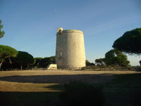 Torre del tajo