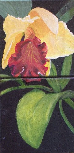 Orquídea amarilla Acrylic Canvas Floral Painting