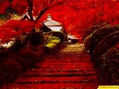 Escalinata en otoño
