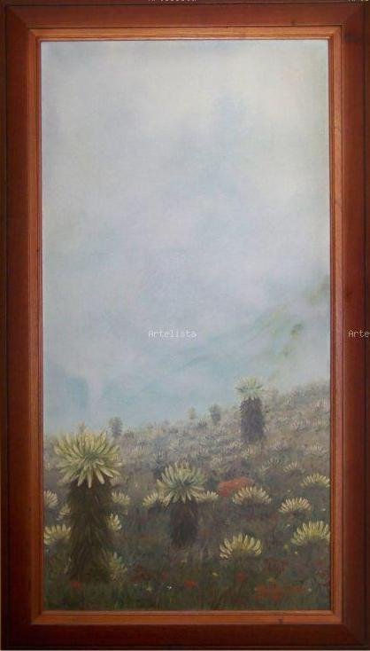 Frailejones