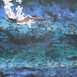 REFLEJOS / SOMBRAS  -  2009 thumbnail 1