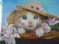 gata con sombrero