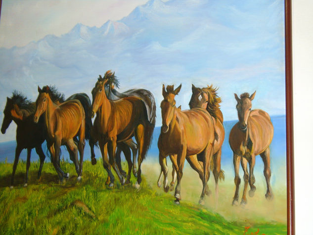 caballos 