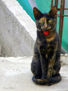UNA GATITA MUY DIVERTIDA...